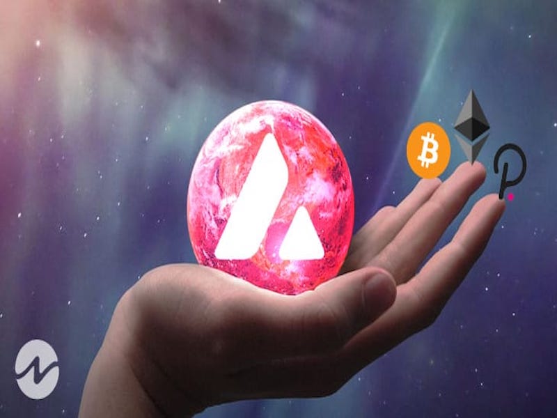 Altcoins That Will Make Millionaires in 2024: Insider’s Forecast