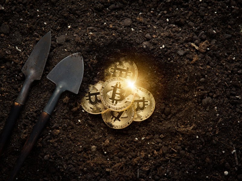 Top 3 Crypto Coins In the Spotlight: Immutable (IMX), Stacks (STX) and KangaMoon ($KANG)