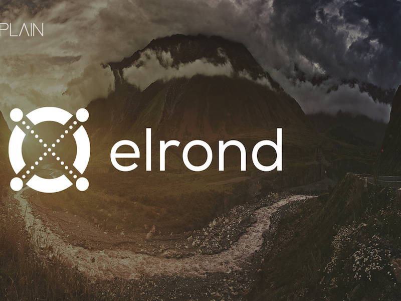Skynet EGLD Capital Collects $40M to Facilitate Growth of Elrond