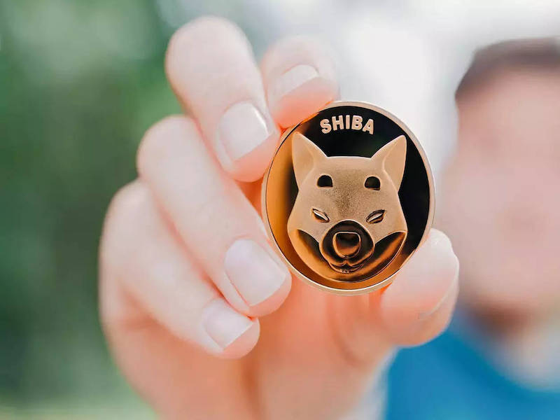 Analyst Identifies 7 Altcoins Including Shiba Inu That Can Rise 1000%