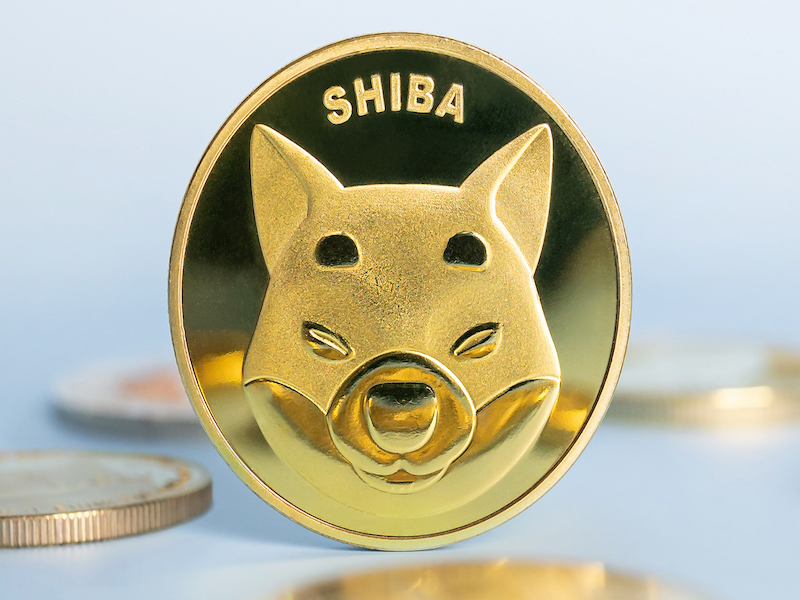 SHIB Price Prediction for April 14