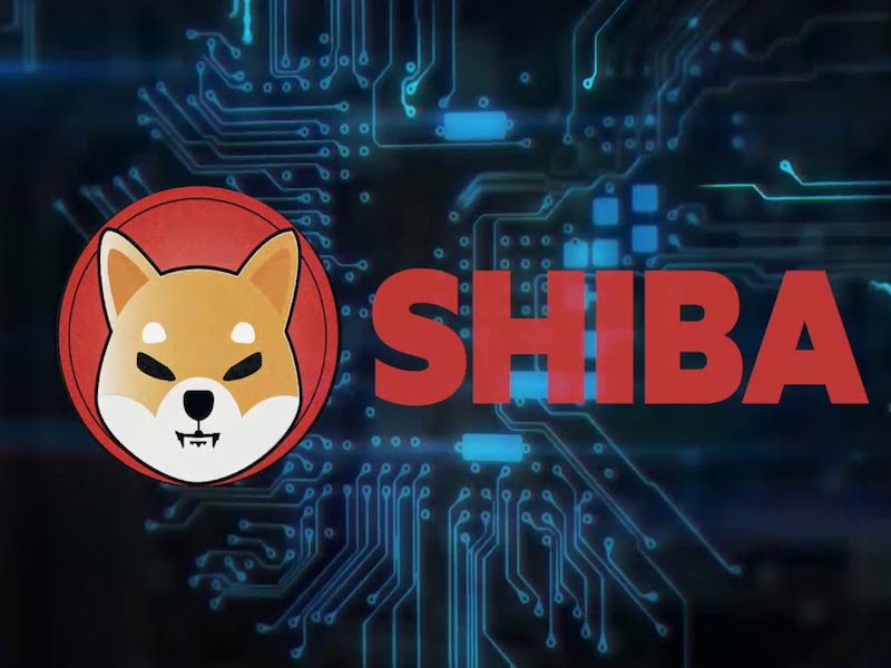Here’s How Much Shiba Inu (SHIB) Robinhood Holds