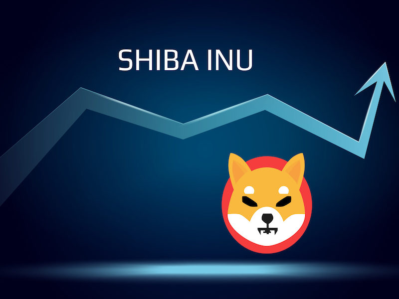 Shiba Inu Burn Rate Skyrockets by 172% as SHIB Price Rebounds