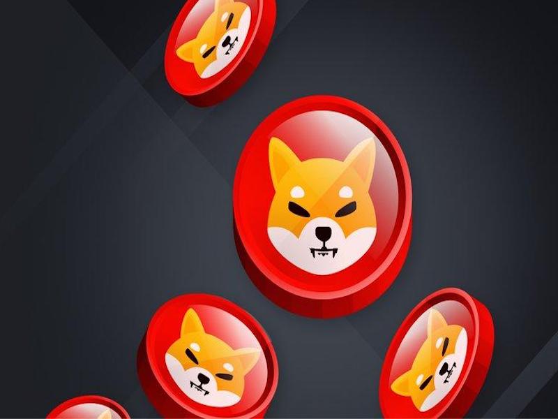 Scammers Impersonate Shiba Inu Lead Developer For Shibarium Giveaway
